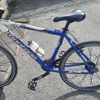 La bicicletta dell'uomo