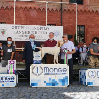 Immagine di archivio Immagine di archivio