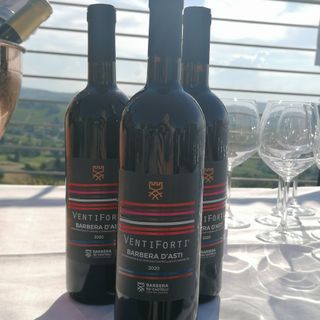 La Cantina Sociale Barbera dei Sei Castelli premiata dal Gambero Rosso