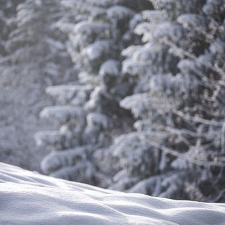 METEO / Tregua finita, da lunedì sera torna il maltempo con neve fino in pianura