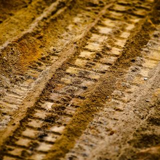 Ue, Coldiretti Cuneo: "L’obbligo dei terreni incolti va cancellato"