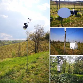 Il futuro in vigneto: la tecnologia al servizio della sostenibilità