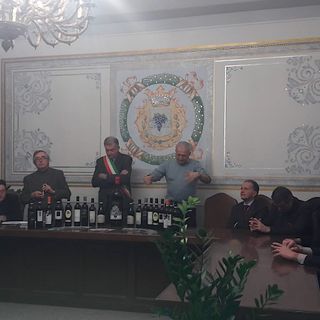 "Castellinaldo Barbera", riflettori accesi sull’eccellenza vinicola della Sinistra Tanaro