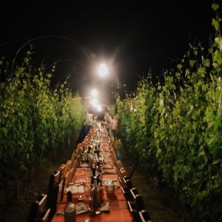 La modella Afef Semmour alla "Taulaluuunga" della Cantina Destefanis di Canale