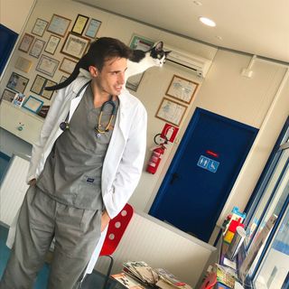 Andrea Imbimbo, medico veterinario