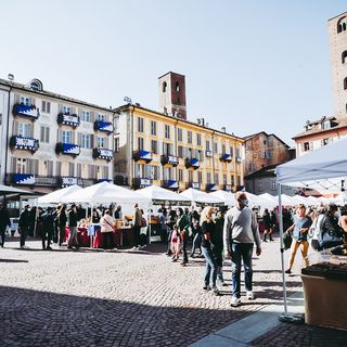 A giorni la presentazione della 92ª Fiera Internazionale del Tartufo Bianco d'Alba (foto Barbara Guazzone)