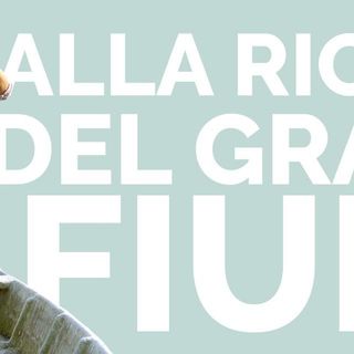 "Alla ricerca del grande fiume", tra le pellicole in visione gratuita