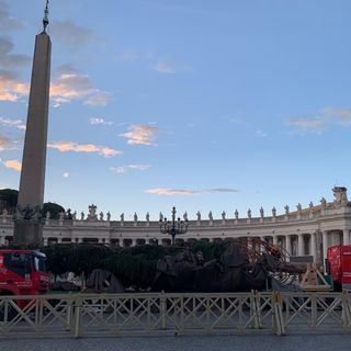 L'abete di Macra ha raggiunto il Vaticano: all'alba di oggi la consegna [VIDEO]