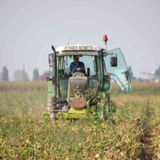 Un trattore al lavoro nei campi