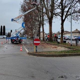Alba: modifiche alla viabilità per la manutenzione del verde cittadino
