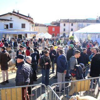 Alcuni scatti dalla passata edizione della manifestazione (foto Villanova Mondovì Turismo e Manifestazioni)