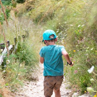 Foto generica - Pixabay