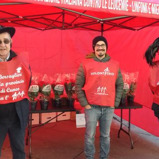 Le Stelle di Natale e i Sogni di Cioccolato Ail Cuneo tornano nelle piazze della Granda