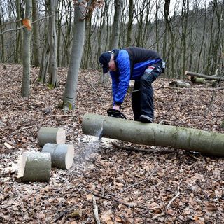 Immagine di repertorio Immagine di repertorio