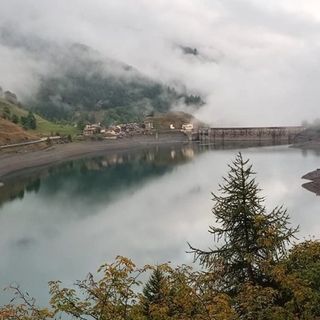 Il bramito dei cervi risuona nei boschi di Pontechianale 