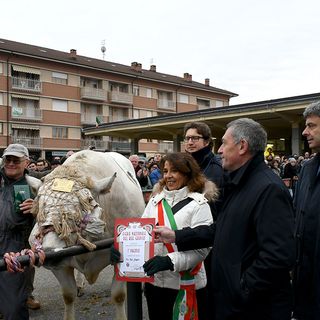 Banca Alpi Marittime sostiene la 109ª edizione della “Fiera del Bue Grasso di Carrù”