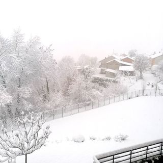 Già prossima ai 20 centimetri la neve fermatasi sopra i 300 metri delle colline del Roero (in foto Castagnito) Già prossima ai 20 centimetri la neve fermatasi sopra i 300 metri delle colline del Roero (in foto Castagnito)