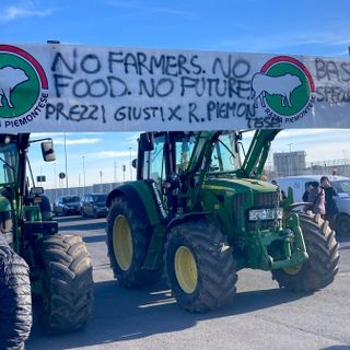 Proteste degli agricoltori, il Governo Meloni considera il settore primario un’eccellenza da tutelare e valorizzare