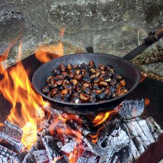 Tartufi, castagne, cavoli: i frutti dell'autunno protagonisti degli eventi del weekend in provincia Granda