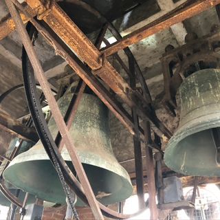 Disertare il silenzio per Gaza: appello dalla Diocesi di Cuneo e Fossano e eventi a Cuneo