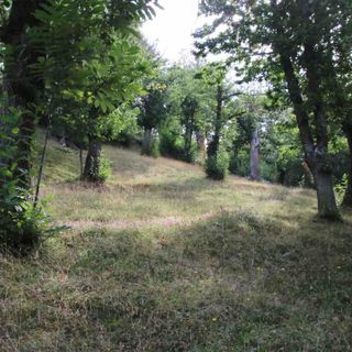 A Rittana l'Unione Montana presenta il progetto di valorizzazione della castanicoltura "ValOd'Oc"