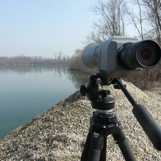 Parco del Monviso, realizzato il censimento degli uccelli acquatici: Germano Reale e Alzavola le specie più presenti