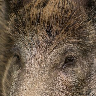 Immagine di repertorio