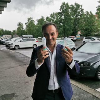 Cimice asiatica, in Piemonte parte la controffensiva: rilasciata la vespa samurai in 100 siti regionali