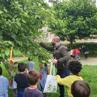 Coccinelle per la difesa biologica di alberi e piante: coinvolte le scuole dell'infanzia di Alba