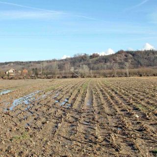 Danni alle coltivazioni provocati da un'alluvione