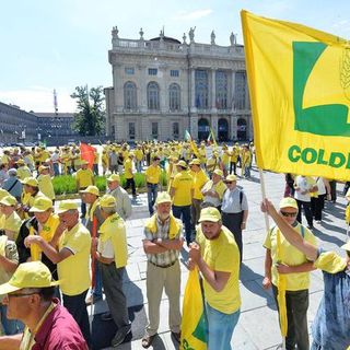 Fauna selvatica, Coldiretti chiede "meno risarcimenti, più prevenzione" Fauna selvatica, Coldiretti chiede "meno risarcimenti, più prevenzione"