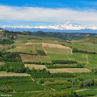 A Treiso un convegno su tradizione e innovazione