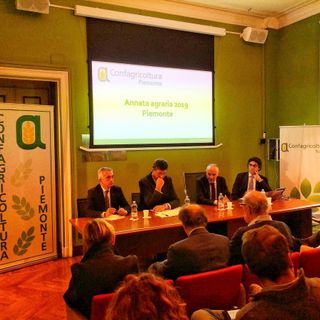 Produzioni scarse ma di qualità: Confagricoltura tira le somme dell'annata agraria
