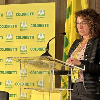 L'intervento di Monia Rullo