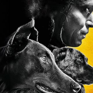 Fossano porta il cinema all'aperto in carcere: prenotazioni aperte per "Dogman" di Luc Besson