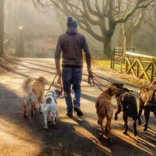 Immagine d'archivio Immagine d'archivio