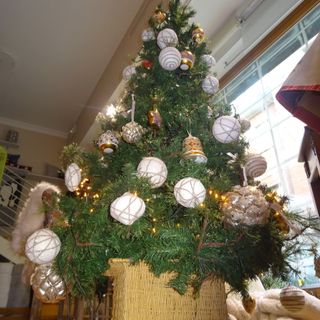 A Natale l’imperativo è lo stesso di ogni anno: rispetto per l’ambiente