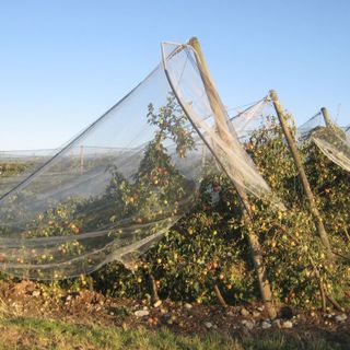 Assicurazioni: agricoltori e allevatori cuneesi non possono più aspettare Assicurazioni: agricoltori e allevatori cuneesi non possono più aspettare