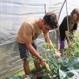 In Granda le imprese dei giovani sono 5.900 (9%). Negli ultimi dieci anni si sono ridotte di mille unità In Granda le imprese dei giovani sono 5.900 (9%). Negli ultimi dieci anni si sono ridotte di mille unità