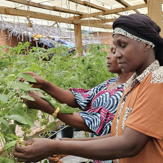 Imprese responsabili: Ferrero insieme a Save the Children al Salone della Csr di Milano Imprese responsabili: Ferrero insieme a Save the Children al Salone della Csr di Milano