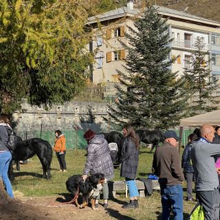 Con la “Fiero di Son Martin” Casteldelfino rivive un pezzo della sua storia