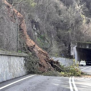 La frana verificatasi lungo la Statale 28