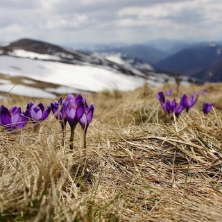 Fine settimana caratterizzato dal Foehn e temperature oltre i 20 gradi