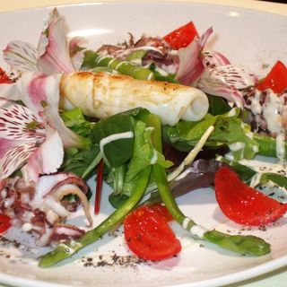 Ad Alassio il Festival Nazionale "Cucina coi Fiori" dall’8 aprile. Ecco tutto il programma