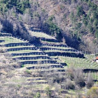 Terrazzamenti in Valle Belbo