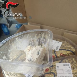 Formaggi scaduti e prodotti agroalimentari senza etichetta: controlli dei carabinieri alla Fiera del Marrone di Cuneo
