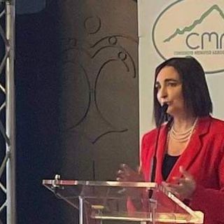 Gianna Gancia: “Basta storie! Il Mes va ratificato al più presto”