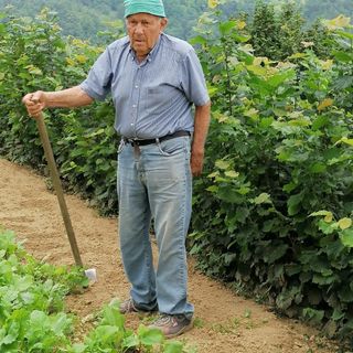 Giordano Giuseppe Angelo