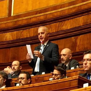 Bergesio durante un intervento in aula, al Senato