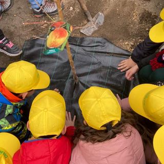 Coldiretti celebra la giornata degli alberi: "Con il PNRR nasceranno 6,6 milioni di nuove piante" Coldiretti celebra la giornata degli alberi: "Con il PNRR nasceranno 6,6 milioni di nuove piante"